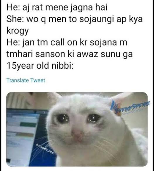 Nibba Nibbi Meaning In Hindi 